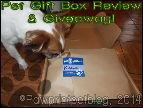 pet gift box review