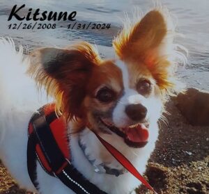 Rest in peace, Kitsune