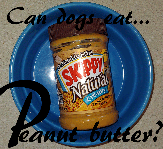 can puppies have skippy peanut butter